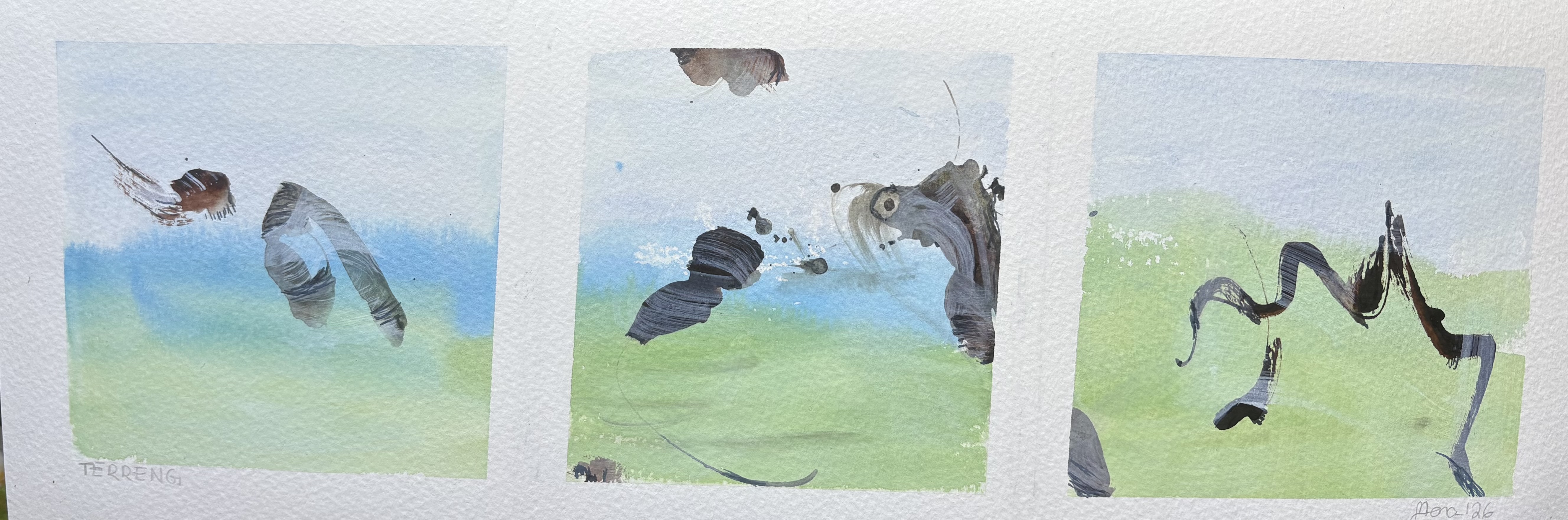 Terrain
